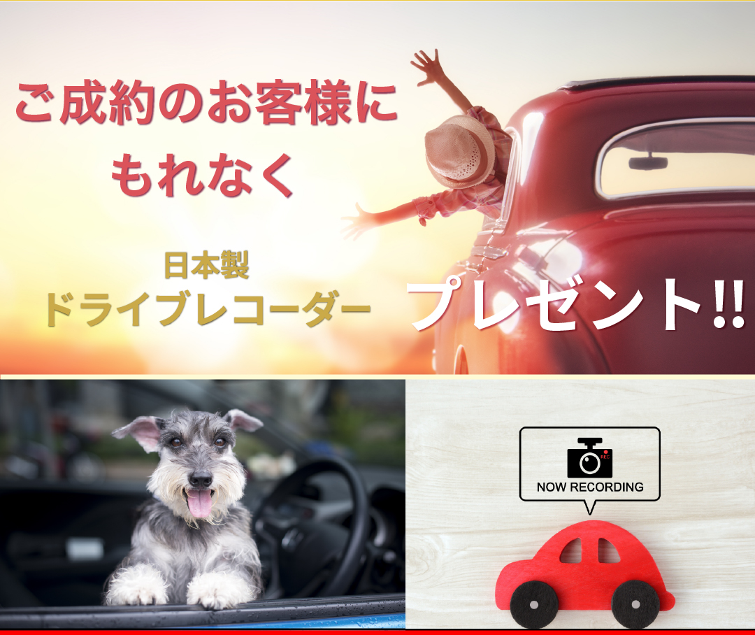 ご成約のお客様にもれなく、日本製ドライブレコーダープレゼント‼