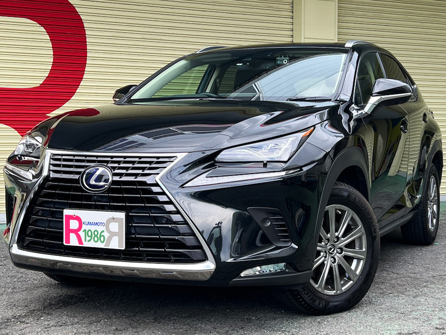 レクサスNX300h